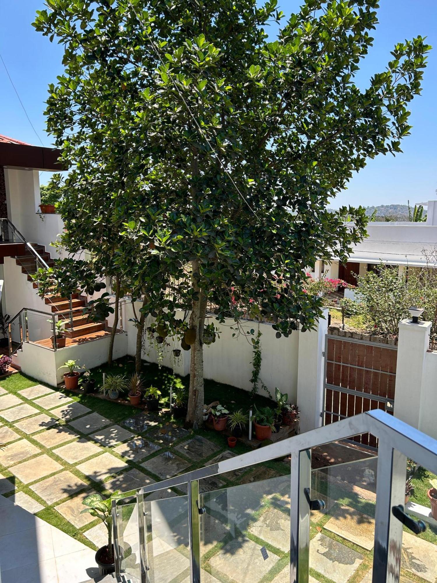 Sapphire Stayss Yelagiri Exteriör bild